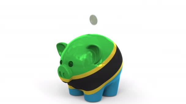 Mince padají na prasečí břeh namalovaný s vlajkou Tanzanie. National banking system or savings related concept 3d animation — Stock video