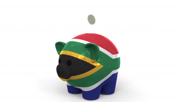 Munten vallen in spaarpot beschilderd met de vlag van Zuid-Afrika. Nationaal banksysteem of spaargerelateerde conceptuele 3D-animatie — Stockvideo