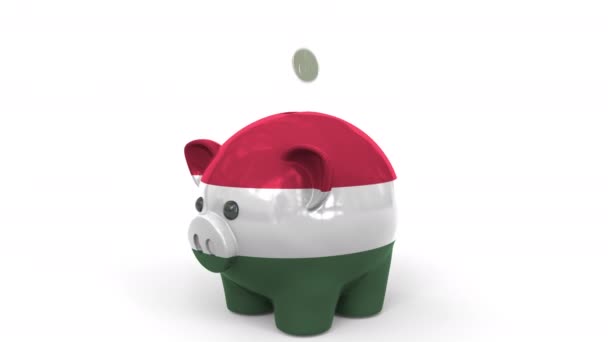 Bozuk paralar Macaristan bayrağıyla boyanmış domuz kumbarasına düşer. Ulusal bankacılık sistemi veya tasarrufla ilgili kavramsal 3d animasyonu — Stok video