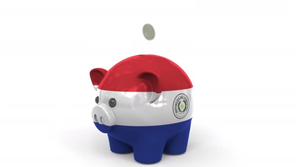 Münzen fallen in Sparschweine, die mit der Flagge Paraguays bemalt sind. Nationales Bankensystem oder Ersparnisse bezogene konzeptionelle 3D-Animation — Stockvideo