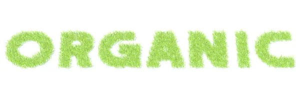 Текст ORGANIC з зеленою травою на білому тлі, 3D рендеринг — стокове фото