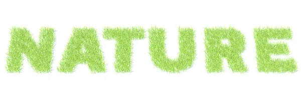 NATUR-Text aus grünem Gras. 3D-Rendering — Stockfoto