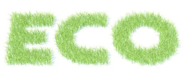 ECO texto hecho con hierba verde, fondo claro. Renderizado 3D — Foto de Stock