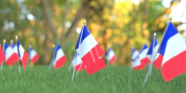 Bandiere di Francia sull'erba. Rendering 3D correlato alla festa nazionale — Foto Stock