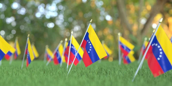Banderas nacionales de Venezuela en la hierba. Celebración relacionada con la representación 3D — Foto de Stock