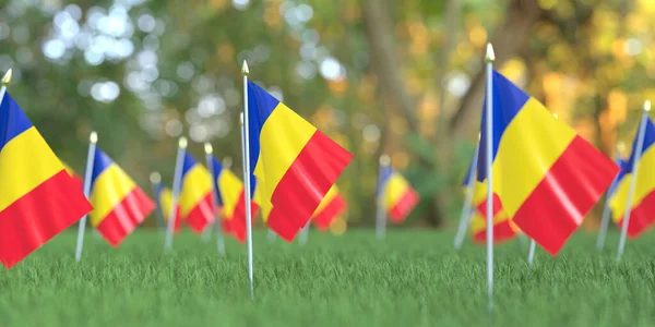 Banderas nacionales de Rumania en el césped. Celebración relacionada con la representación 3D — Foto de Stock