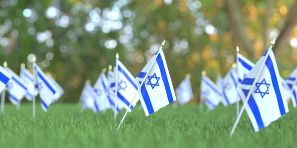 Σημαίες του Ισραήλ στο γρασίδι. Εθνική γιορτή που σχετίζονται με 3D απόδοση — Φωτογραφία Αρχείου