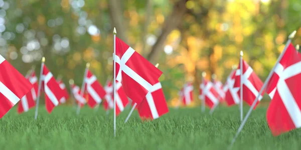 Dánské vlajky v trávě. 3D vykreslování související s národní dovolenou — Stock fotografie