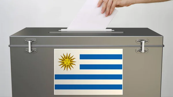 Mão colocando cédula de papel em urna com bandeira do Uruguai. Eleição relacionada com a renderização 3d — Fotografia de Stock