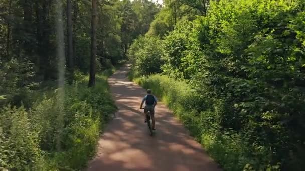 Flygfoto efter skott av en cykelförare som rör sig längs en solig sommarpark väg — Stockvideo