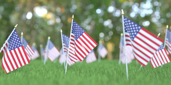 Flags of the USA in the grass. National holiday related 3D rendering — Stock Photo, Image