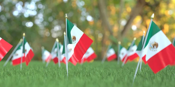 Σημαίες του Μεξικού στο γρασίδι. Εθνική γιορτή που σχετίζονται με 3D απόδοση — Φωτογραφία Αρχείου