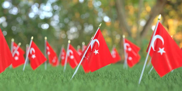 Banderas nacionales de Turquía en la hierba. Celebración relacionada con la representación 3D —  Fotos de Stock