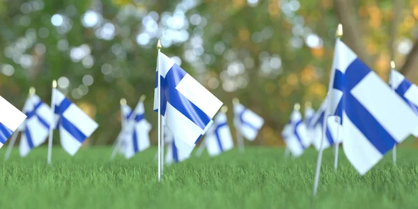 Флаги Финляндии в траве. 3D рендеринг, связанный с государственным праздником — стоковое фото