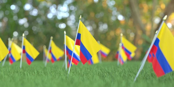 草の中のコロンビアの旗。祝日関連3Dレンダリング — ストック写真