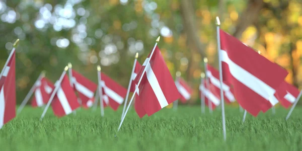 Małe flagi Łotwy w trawie. Święto narodowe związane z renderowaniem 3D — Zdjęcie stockowe