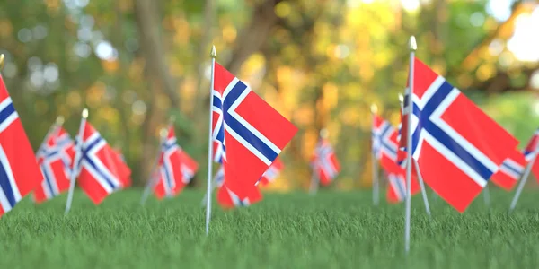 草の中にノルウェーの小さな国旗。お祝い関連の3Dレンダリング — ストック写真