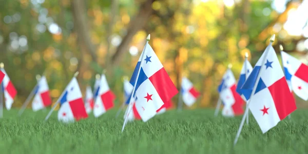Banderas de Panamá en la hierba. Renderizado en 3D relacionado con vacaciones nacionales —  Fotos de Stock