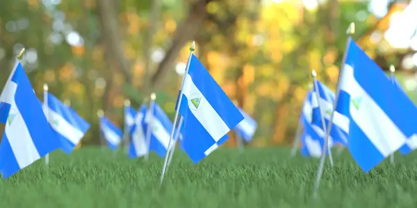 许多尼加拉瓜国旗插在草地上。与国家假日相关的3D渲染 — 图库照片
