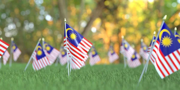 Çimlerin üzerinde Malezya bayrakları. Ulusal bayram ile ilgili 3B oluşturma — Stok fotoğraf