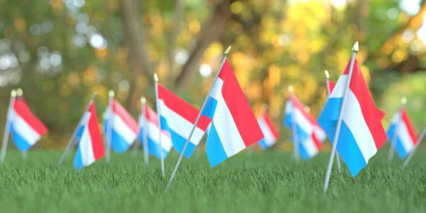 Banderas de Luxemburgo en el césped. Renderizado en 3D relacionado con vacaciones nacionales —  Fotos de Stock