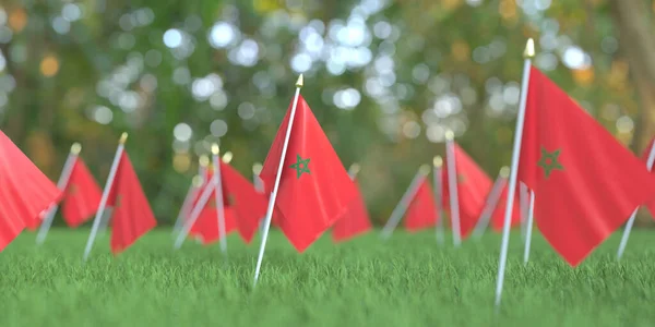 草の中のモロッコの旗。祝日関連3Dレンダリング — ストック写真
