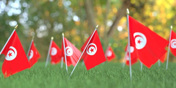 草の中にチュニジアの国旗。お祝い関連の3Dレンダリング — ストック写真