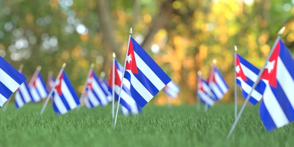 Banderas pequeñas de Cuba en la hierba. Renderizado en 3D relacionado con vacaciones nacionales —  Fotos de Stock