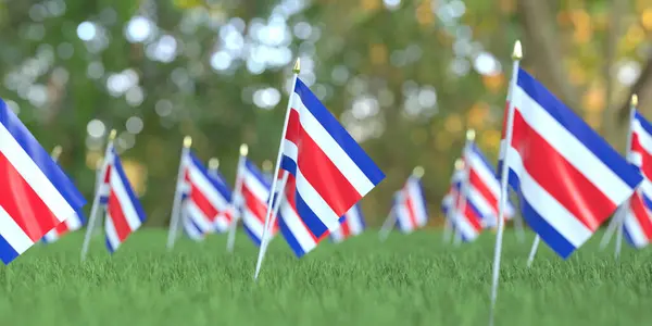 Małe flagi narodowe Kostaryki w trawie. Świętowanie związane z renderowaniem 3D — Zdjęcie stockowe