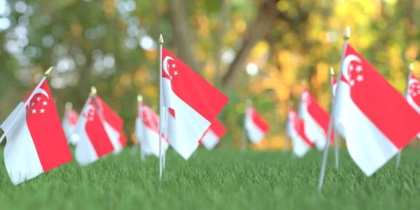 Маленькие национальные флаги Сингапура в траве. 3D-рендеринг, связанный с празднованием — стоковое фото