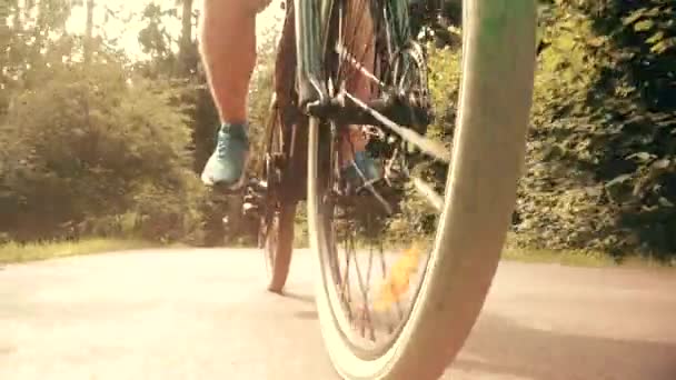 Mans pés em pedais e bicicleta em movimento em um parque de verão, vista de baixo ângulo — Vídeo de Stock