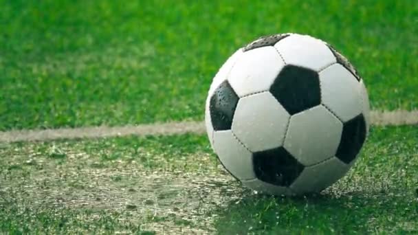 Fotbalový míč na trávě fotbalové hřiště v silném dešti, zpomalený výstřel — Stock video