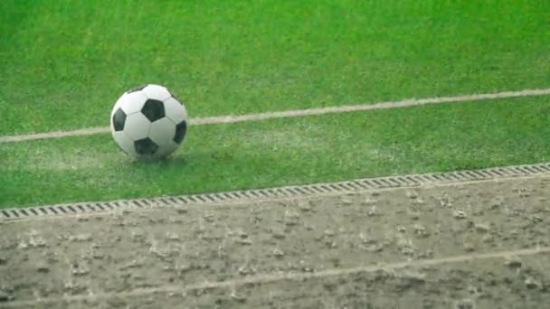 Fotbalový míček na trávě fotbalového hřiště a běžecká dráha v dešti, zpomalený film — Stock video