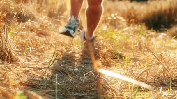 Löpande idrottare fötter på sommar fält bana, slow motion skott — Stockvideo