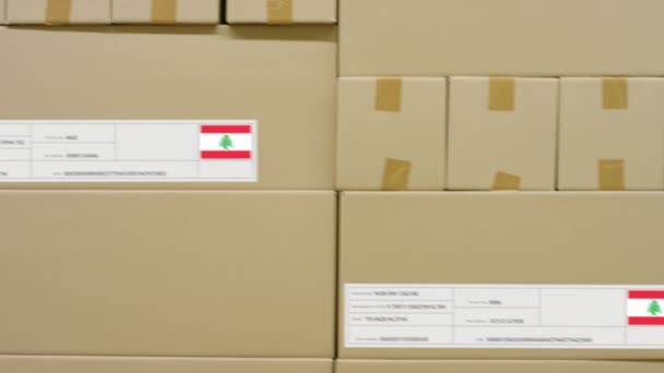 レバノンの文字と旗をプリントしたカートン。倉庫物流の概念 — ストック動画