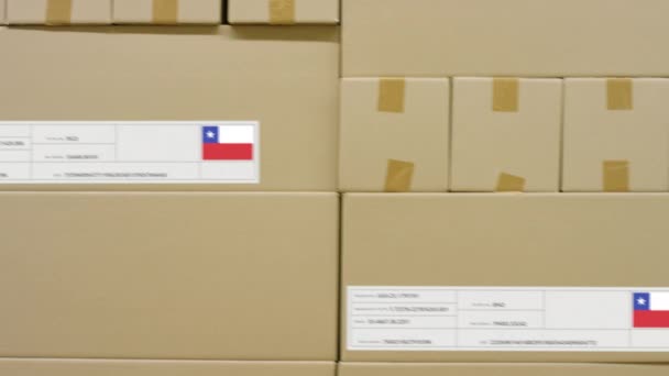 Kartondoboz nyomtatott MADE CHILE szöveggel, egyéb dobozok mellett — Stock videók