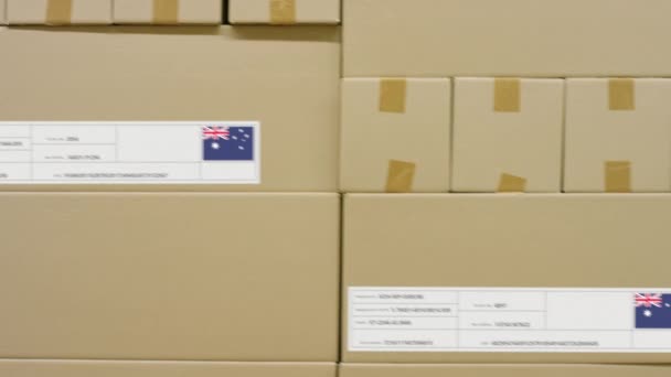 Doos met bedrukte MADE IN AUSTRALIA tekst en vlag. Logistiek concept magazijn — Stockvideo