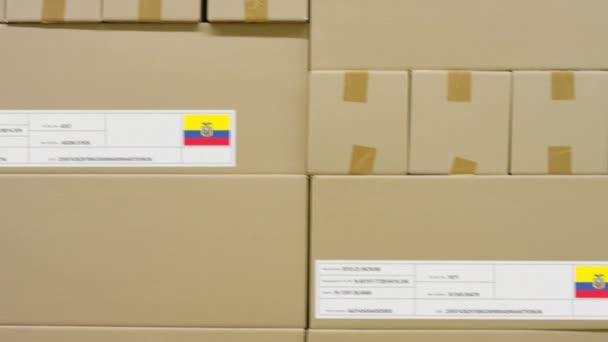Kartonnen doos met bedrukte MADE IN ECUADOR tekst onder andere dozen — Stockvideo