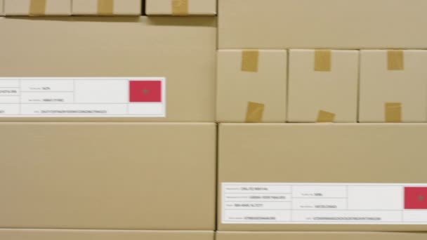 Kartonnen doos met bedrukte MADE IN MOROCCO tekst en vlag. Logistiek concept magazijn — Stockvideo