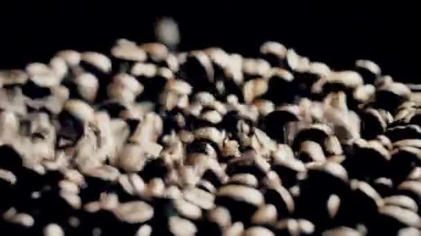 Bewegende koffiebonen op een luidspreker, slow motion shot op Red — Stockvideo