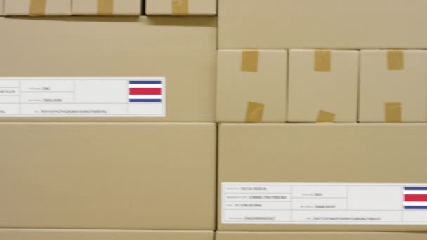 Kartondoboz nyomtatott MADE COSTA RICA szöveggel, egyéb dobozok mellett — Stock videók