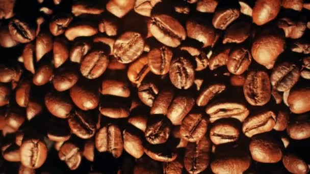 Nad hlavou makro zpomalený záběr skákání pražených kávových zrn. Probuďte se nebo pozvedněte hudební koncepty — Stock video
