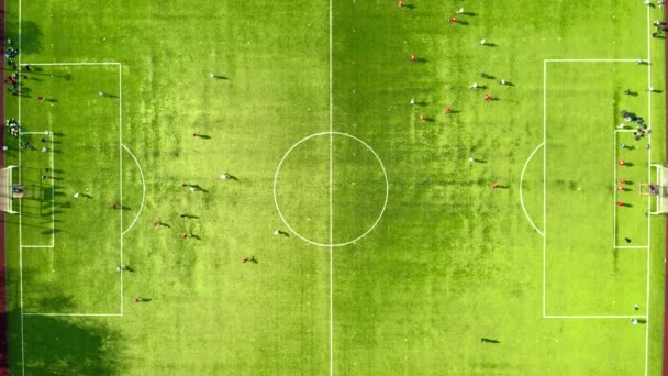 Foto aérea de arriba hacia abajo de jugadores de fútbol que entrenan en el campo de fútbol verde — Vídeo de stock