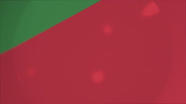 Bandeira da Bielorrússia na placa de animação 3d conceitual — Vídeo de Stock