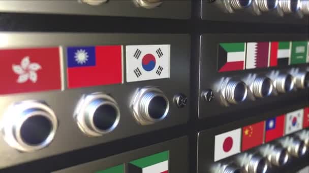 Insertar conector en un zócalo con bandera de los EAU. Concepto de traducción o conexión en línea, animación 3d — Vídeos de Stock