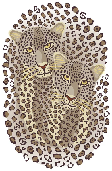 Pareja de leopardo — Archivo Imágenes Vectoriales