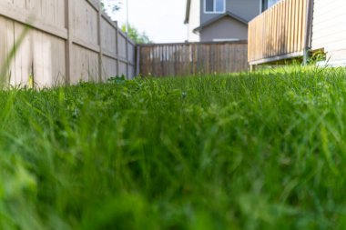 Yağmur sırasında suyu temizlemek için çatıdan su boşaltma borusu