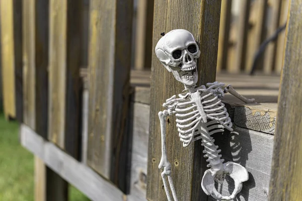 Skelett auf Außenterrasse für Halloween-Feier — Stockfoto