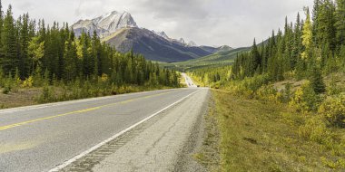 Kanada, Alberta 'daki kayalık dağlara sür.