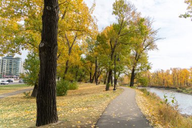 Sonbahar mevsimi renkleri değişen kamu parkı